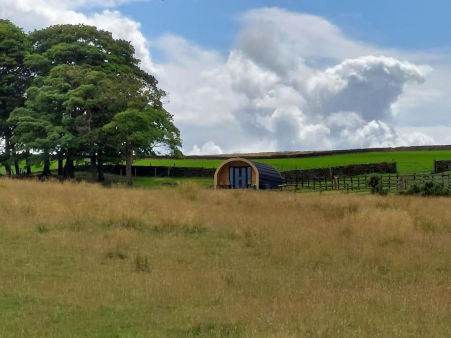 Апартаменты High Whashton Springs Glamping Pod, Richmond Yorks Экстерьер фото